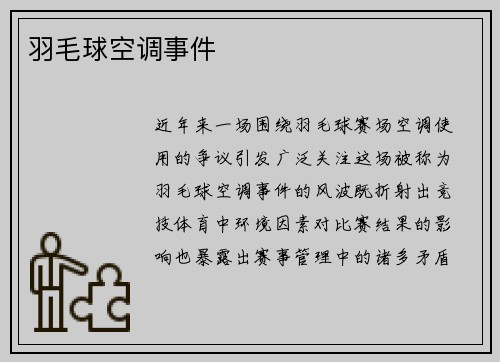 羽毛球空调事件